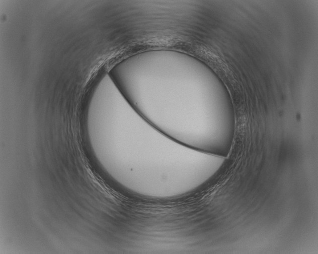 X0000066510688200604071527