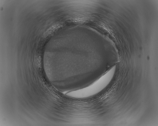 X0000066510689200604071527