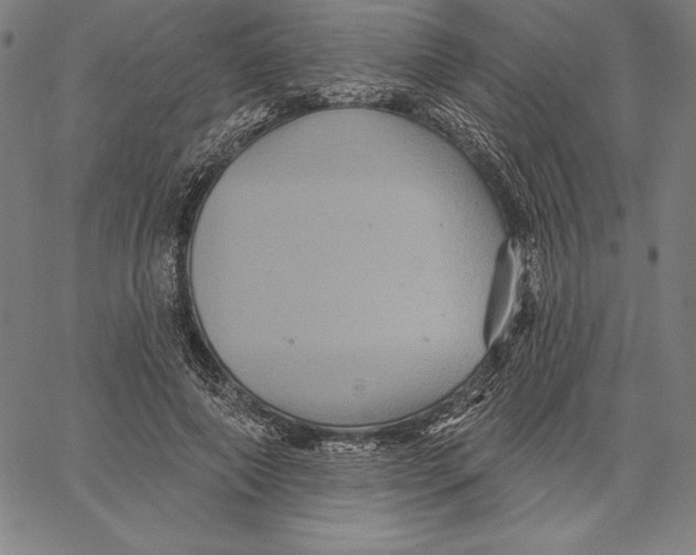 X0000066510690200604071527