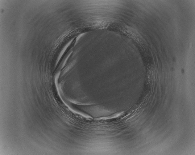 X0000066510693200604071527