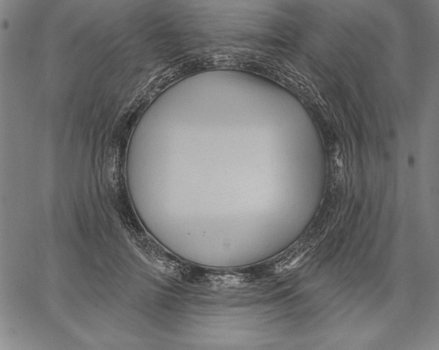 X0000066510698200604071527