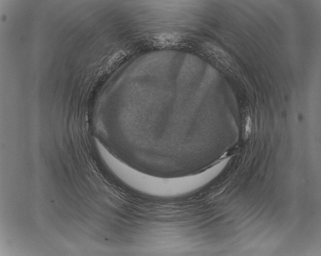 X0000066510700200604071527