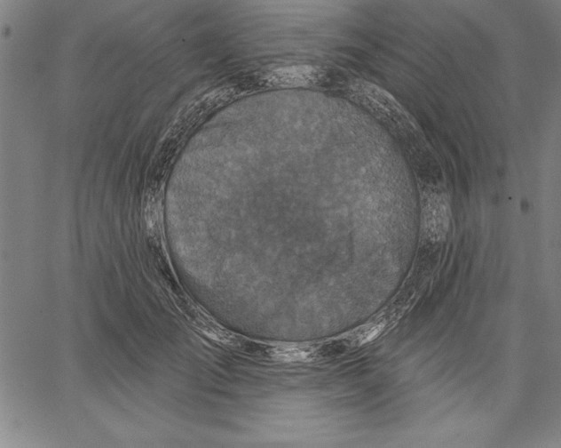 X0000066510701200604071527