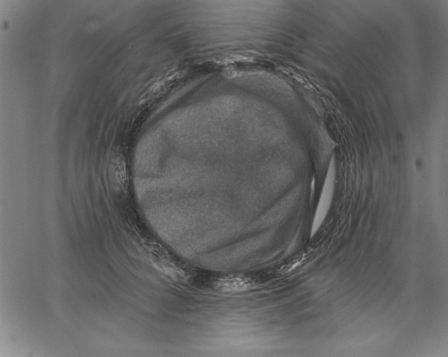X0000066510704200604071527