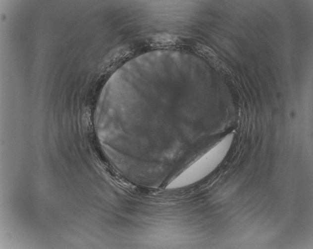 X0000066510711200604071527