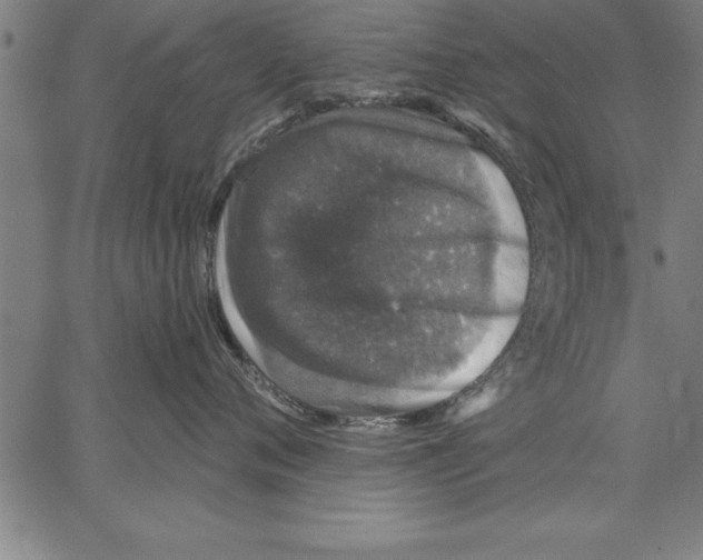 X0000066510720200604071527