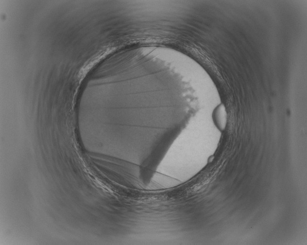 X0000066510721200604071526