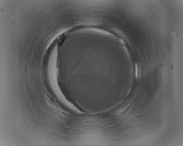 X0000066510723200604071526