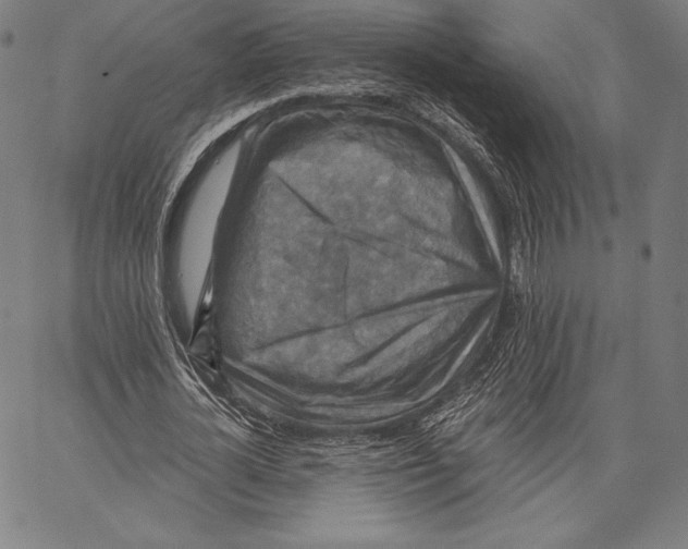 X0000066510724200604071526