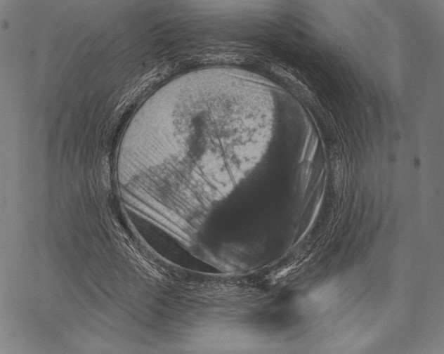 X0000066510729200604071526