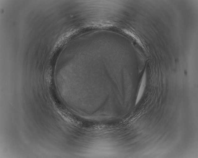 X0000066510736200604071526