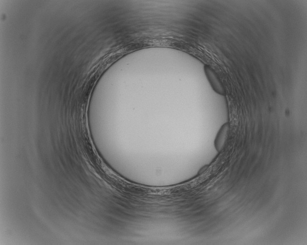 X0000066510744200604071526