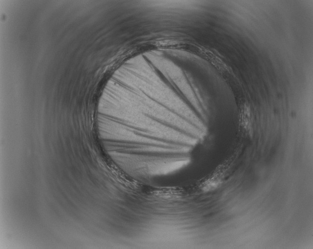 X0000066510763200604071527