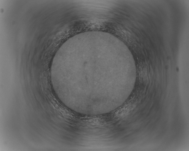 X0000066510769200604071526