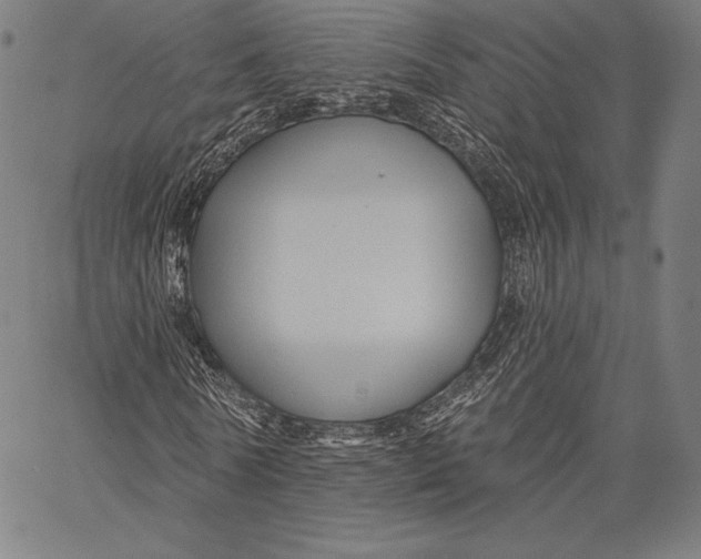 X0000066510770200604071526