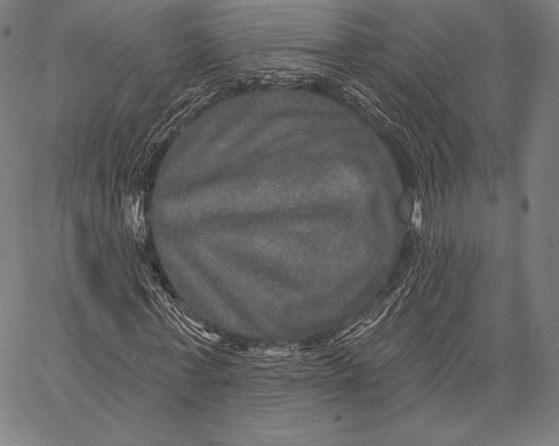 X0000066510771200604071526