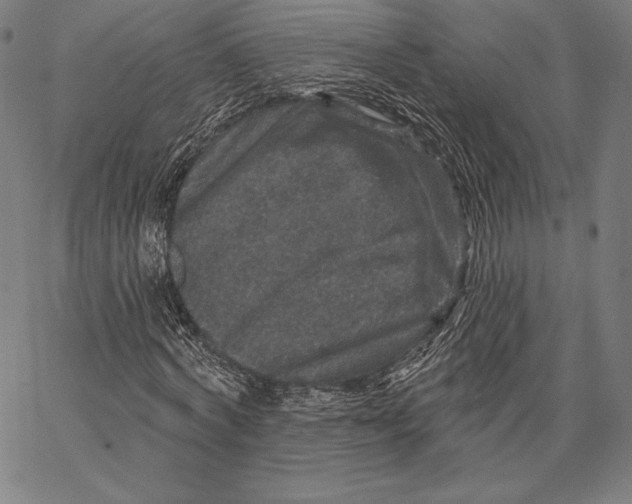 X0000066510772200604071526