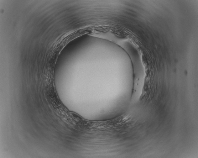X0000066510773200604071526
