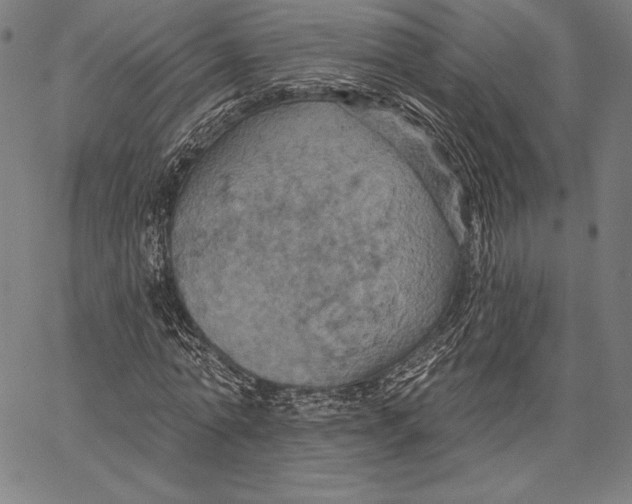 X0000066510774200604071526