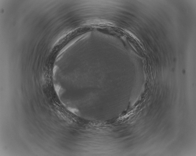 X0000066510775200604071526