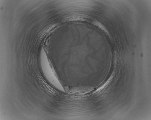 X0000066510777200604071526