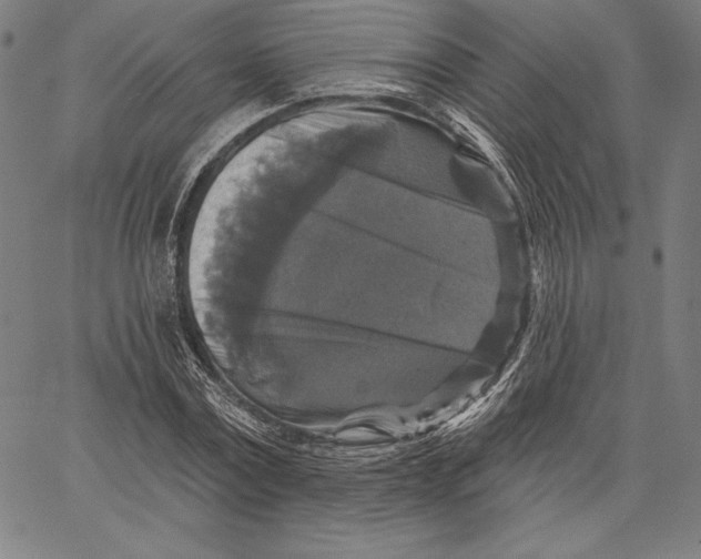 X0000066510779200604071526