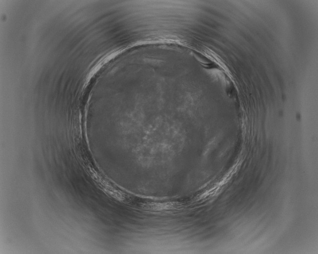 X0000066510781200604071526