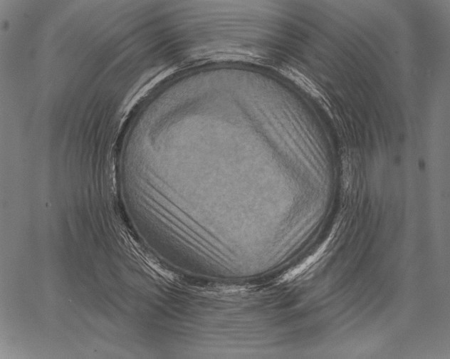 X0000066510782200604071526