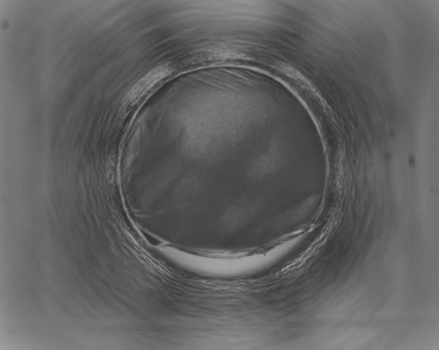 X0000066510785200604071526