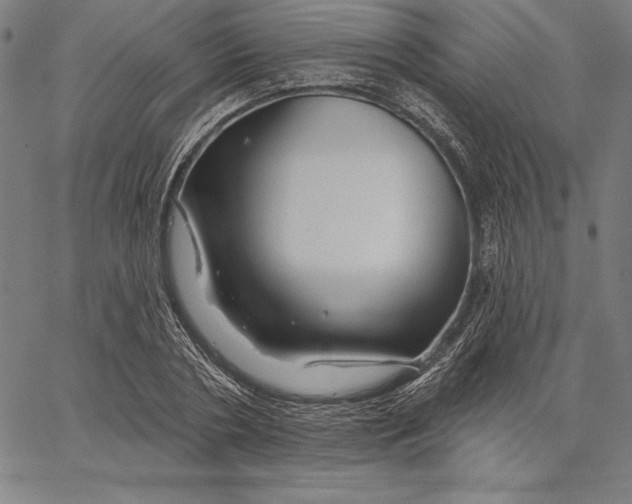 X0000066510786200604071526