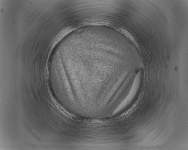 X0000066510787200604071526