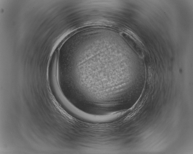 X0000066510788200604071526