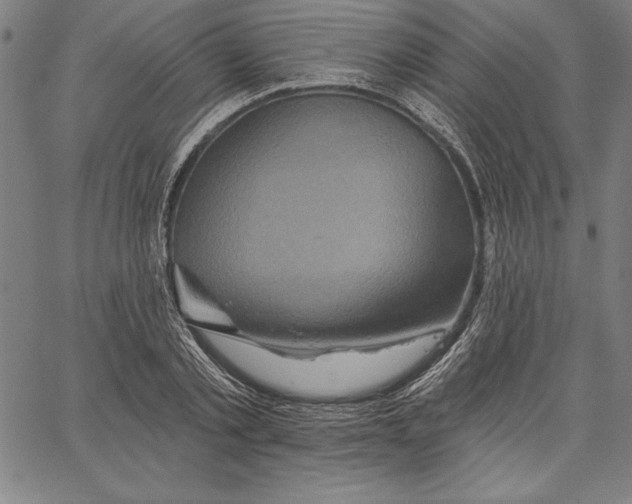 X0000066510789200604071526