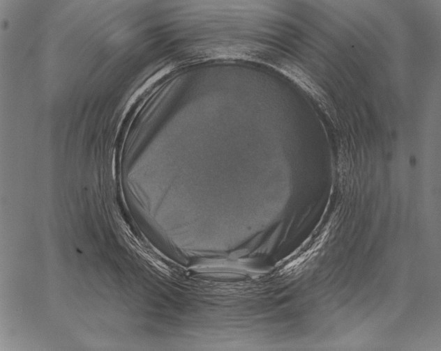 X0000066510790200604071526