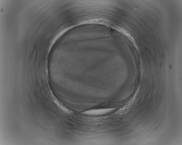 X0000066510792200604071526