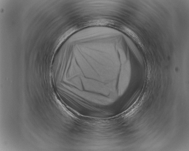 X0000066510802200604071525