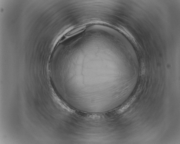 X0000066510806200604071525
