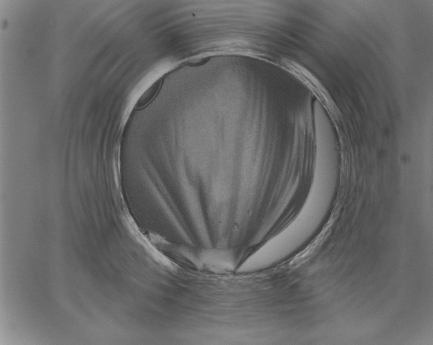 X0000066510812200604071525