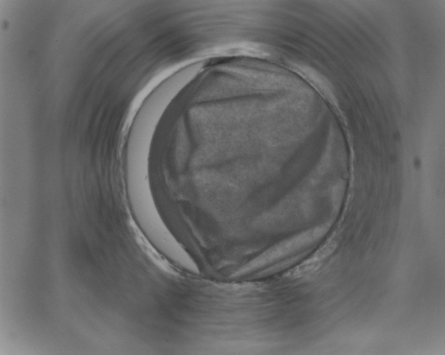 X0000066510816200604071525