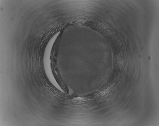 X0000066510818200604071525