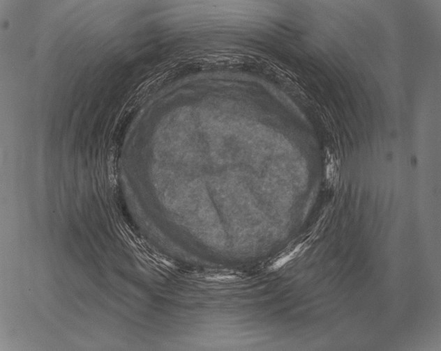 X0000066510819200604071525