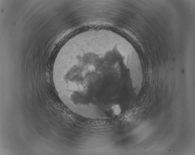 X0000066510823200604071525