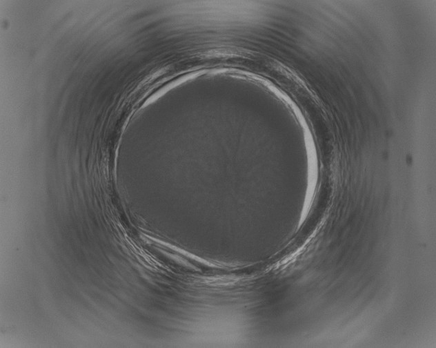 X0000066510825200604071525