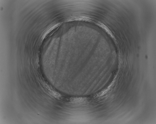 X0000066510826200604071525