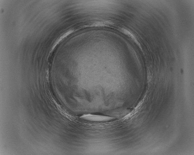 X0000066510827200604071525
