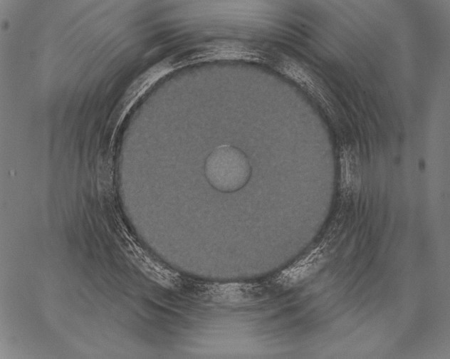 X0000066510828200604071525
