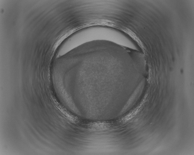 X0000066510834200604071525