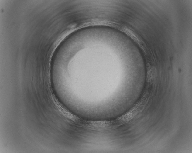 X0000066510836200604071525