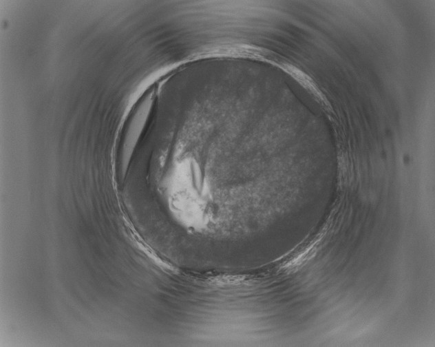 X0000066510846200604071525