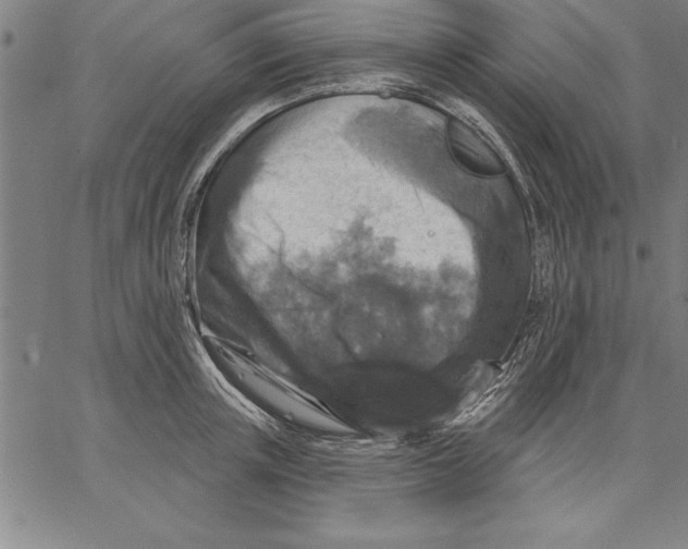 X0000066510851200604071525